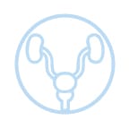 Prostate MRI icon beam radiology