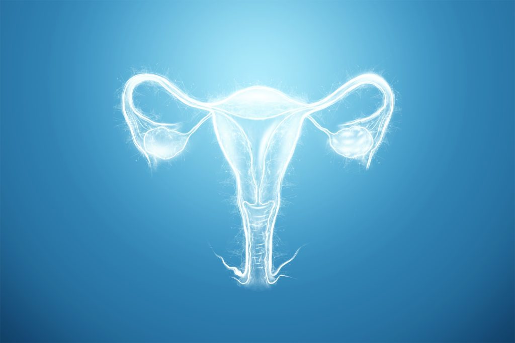 Hologram of the female organ of the uterus on a blue background. Ultrasound concept, gynecology, obstetrics, ovulation, pregnancy. 3D illustration, 3D render.